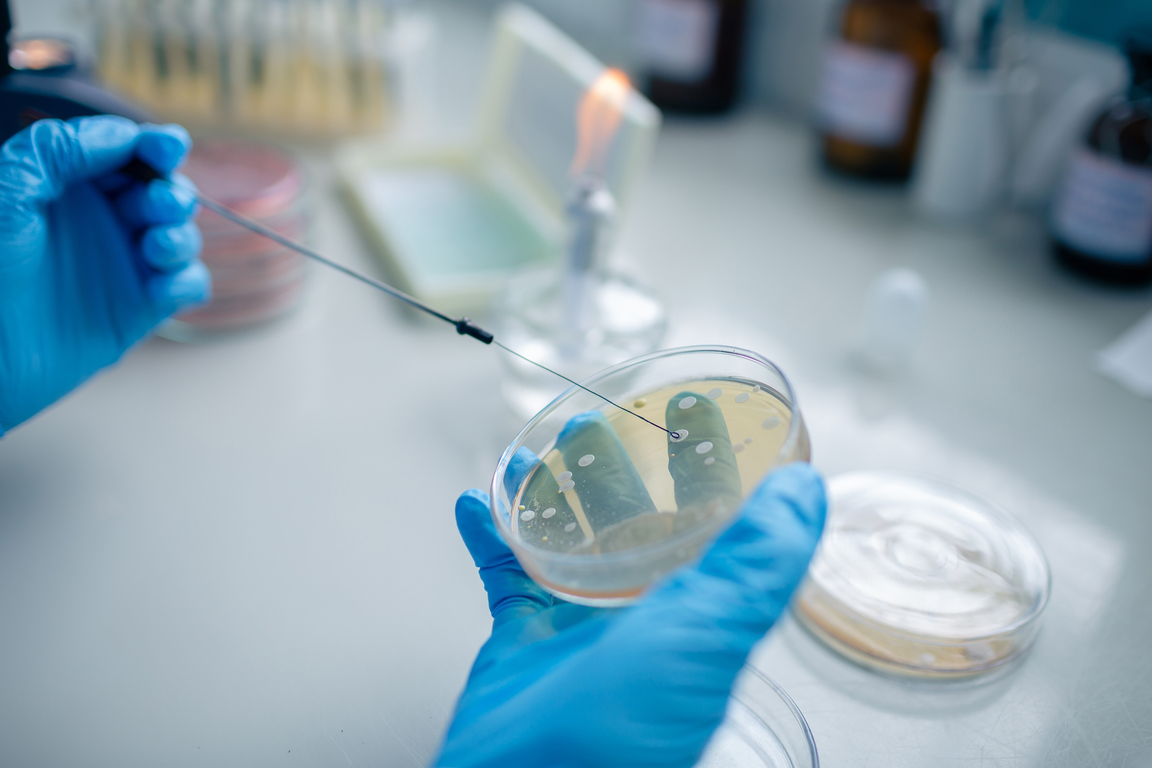 Trusted&nbsp;diagnostic solutions for labs worldwide