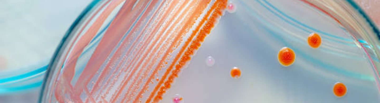 Microbiology Solutions