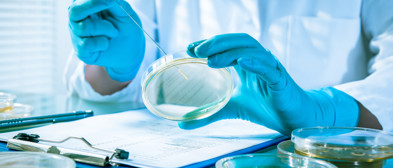 Explore our complete diagnostic range